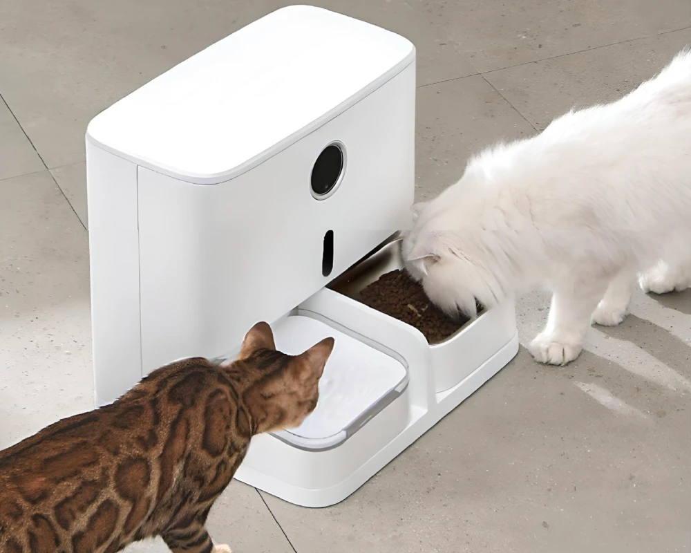 top rated automatic pet feeder
